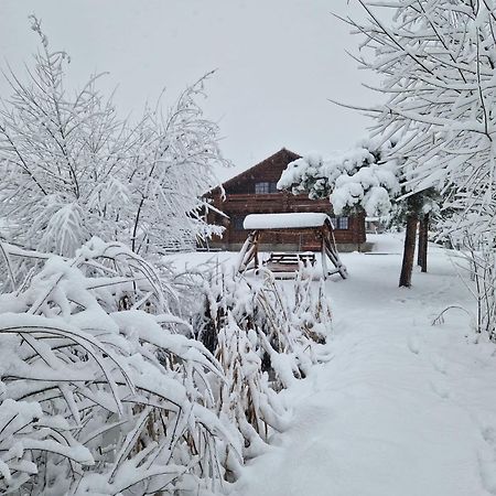 Casa De Munte Villa Vatra Dornei Exteriör bild