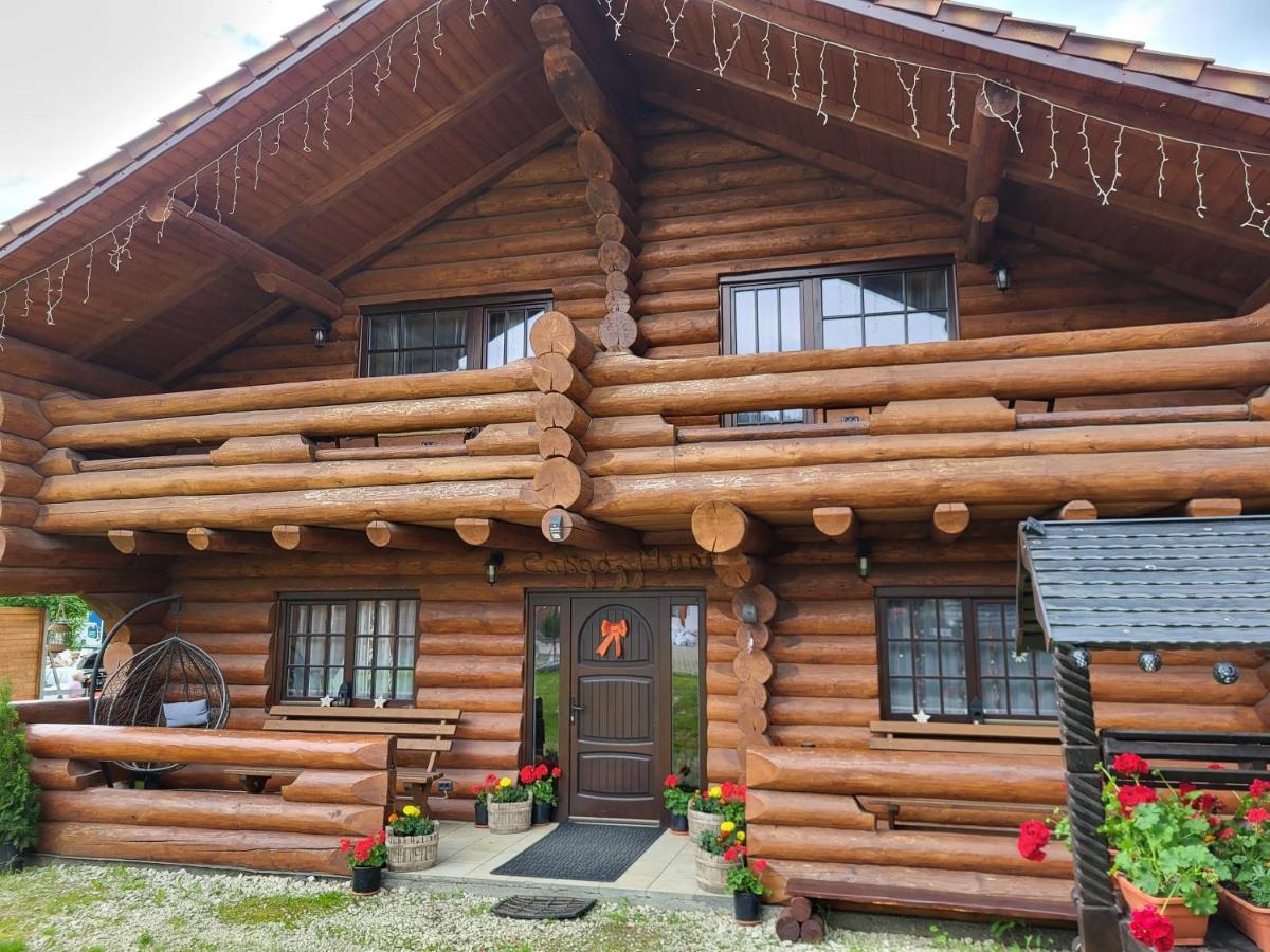 Casa De Munte Villa Vatra Dornei Exteriör bild